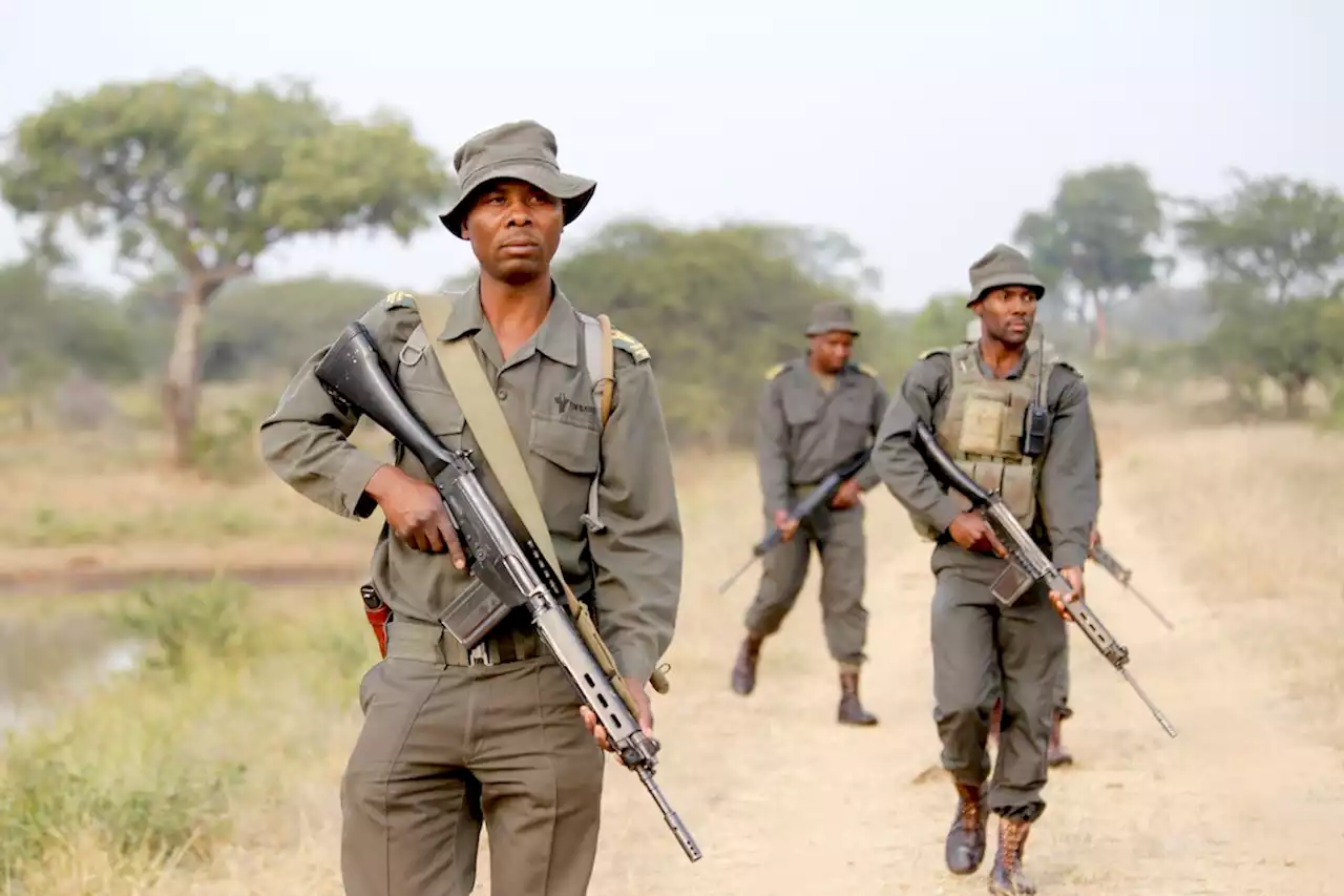 A wildlife warrior has fallen - game ranger Anton Mzimba shot dead