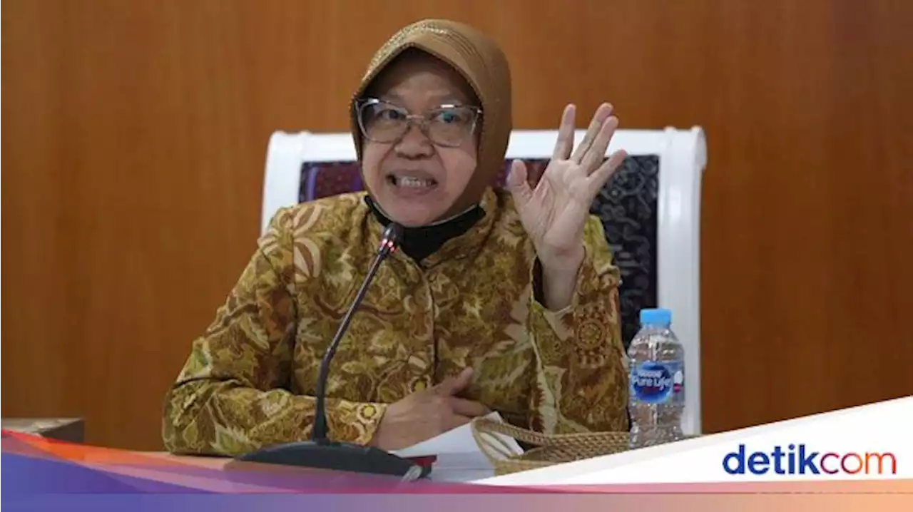 Risma Sudah Ingatkan ACT Saat Awal Jadi Mensos, Kini Mau Bentuk Tim Khusus