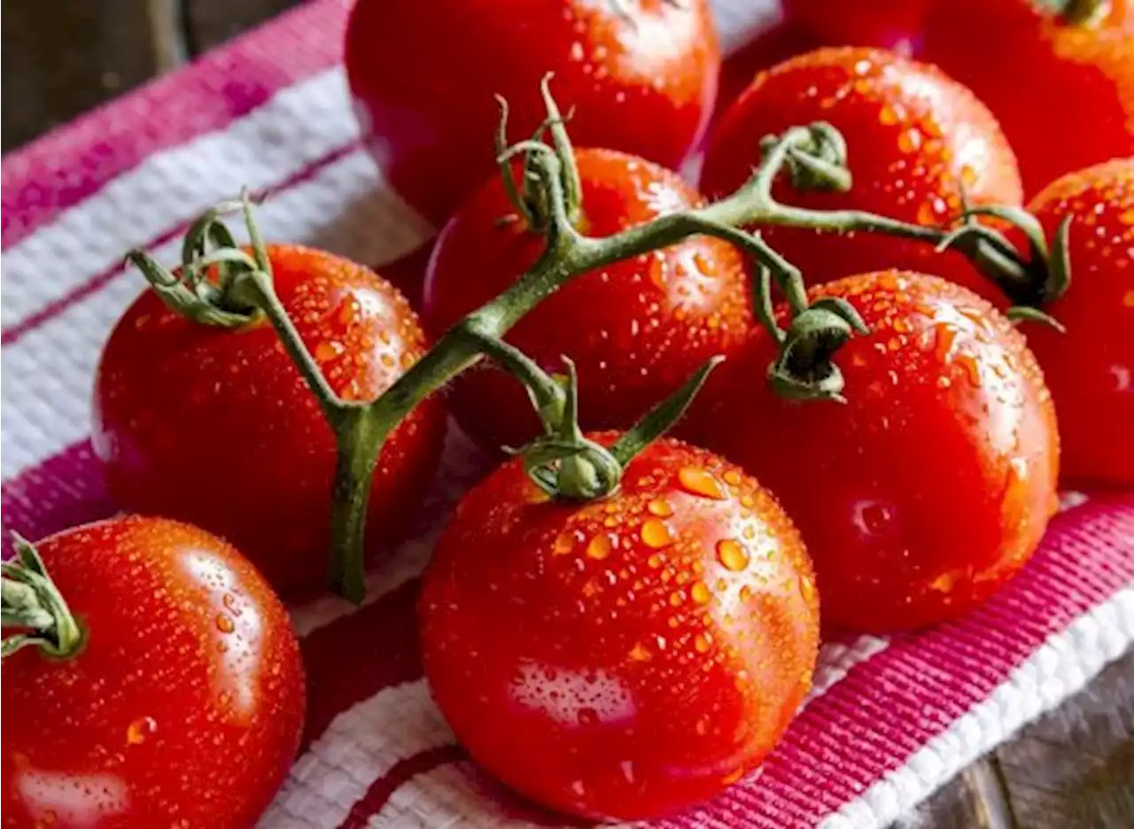 Everything You Need To Know About Eating Tomatoes