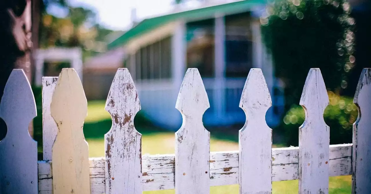 Woman worried neighbour is 'spying' after odd garden incident