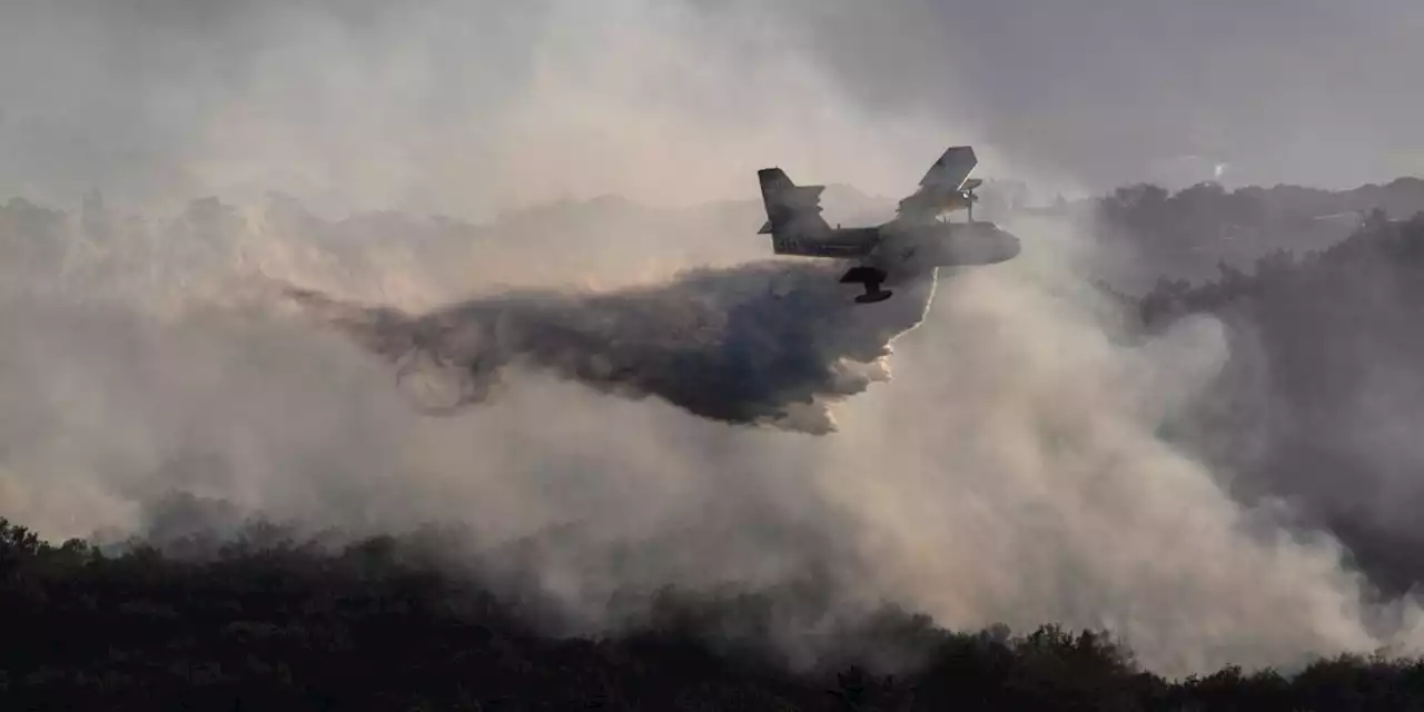 Incendies en Ardèche : la «piste criminelle privilégiée, garde à vue en cours», annonce le parquet