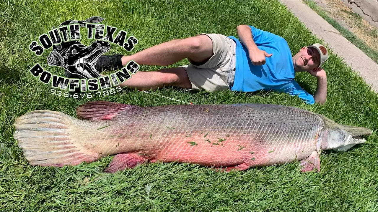 'Once in a lifetime fish': Bowfishers catch 271-pound alligator gar in South Texas