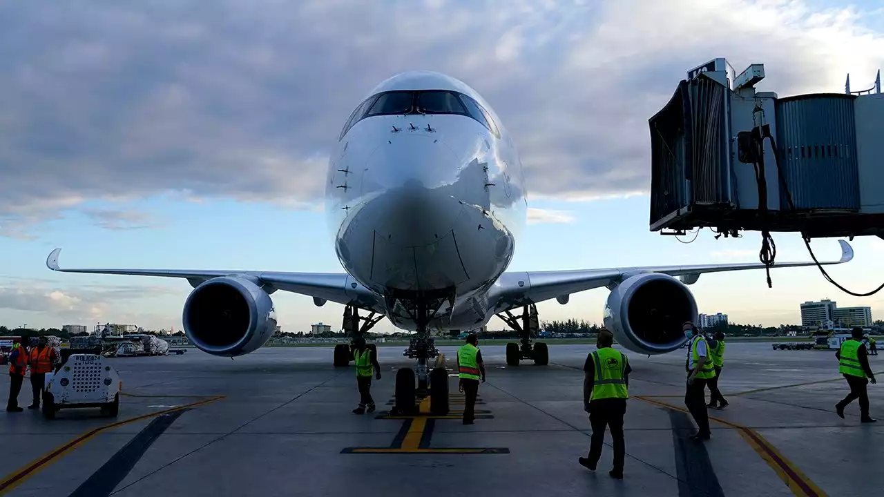 FAA proposes new flight deck barrier after unruly passengers grab headlines