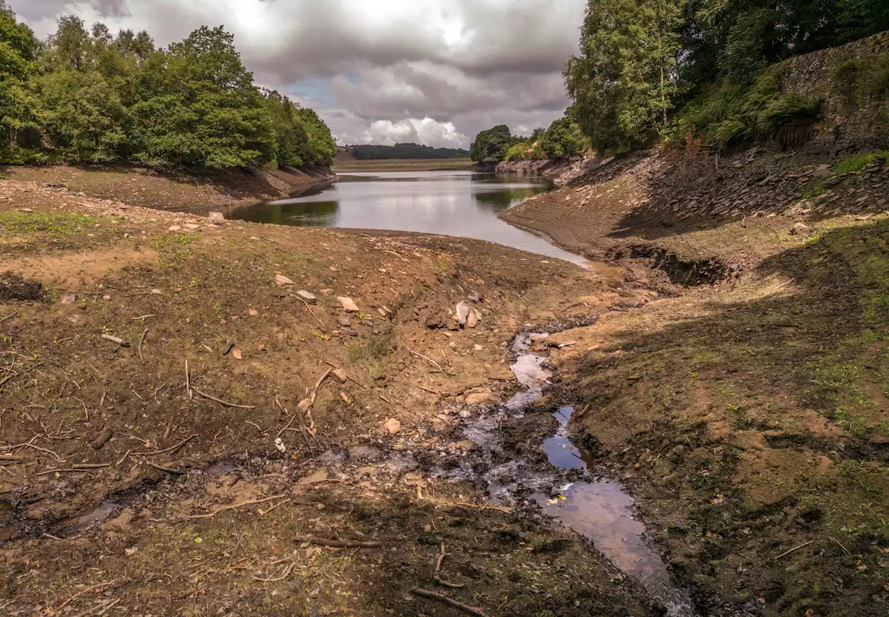 People urged to reduce unnecessary water use as England faces drought