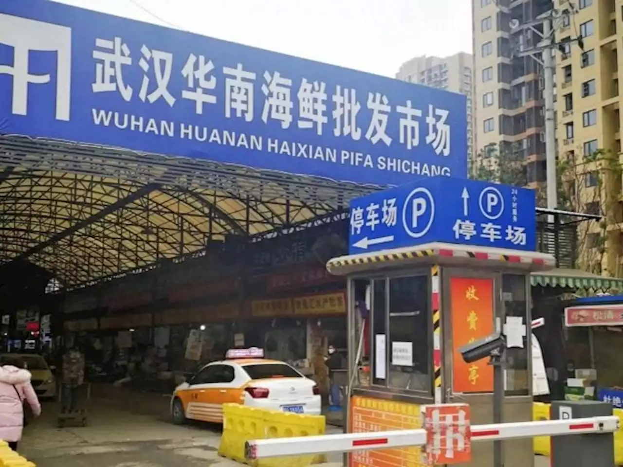 Penelitian Terbaru Ungkap Pasar Hewan di Wuhan jadi Sumber Covid-19