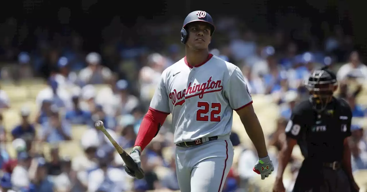 Hernández: Dodgers should trade for Juan Soto and avoid mistake Angels made with Mike Trout