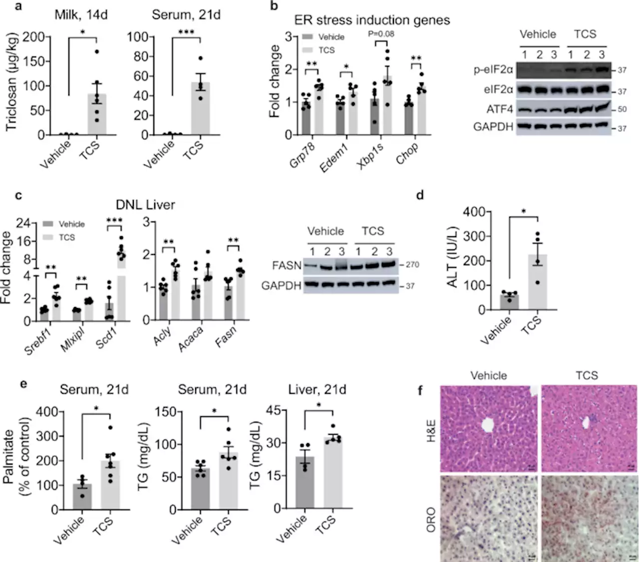 Lactational delivery of Triclosan promotes non-alcoholic fatty liver disease in newborn mice - Nature Communications