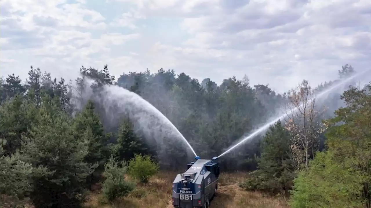 Waldbrand in Elbe-Elster unter Kontrolle - Aber Glutnester