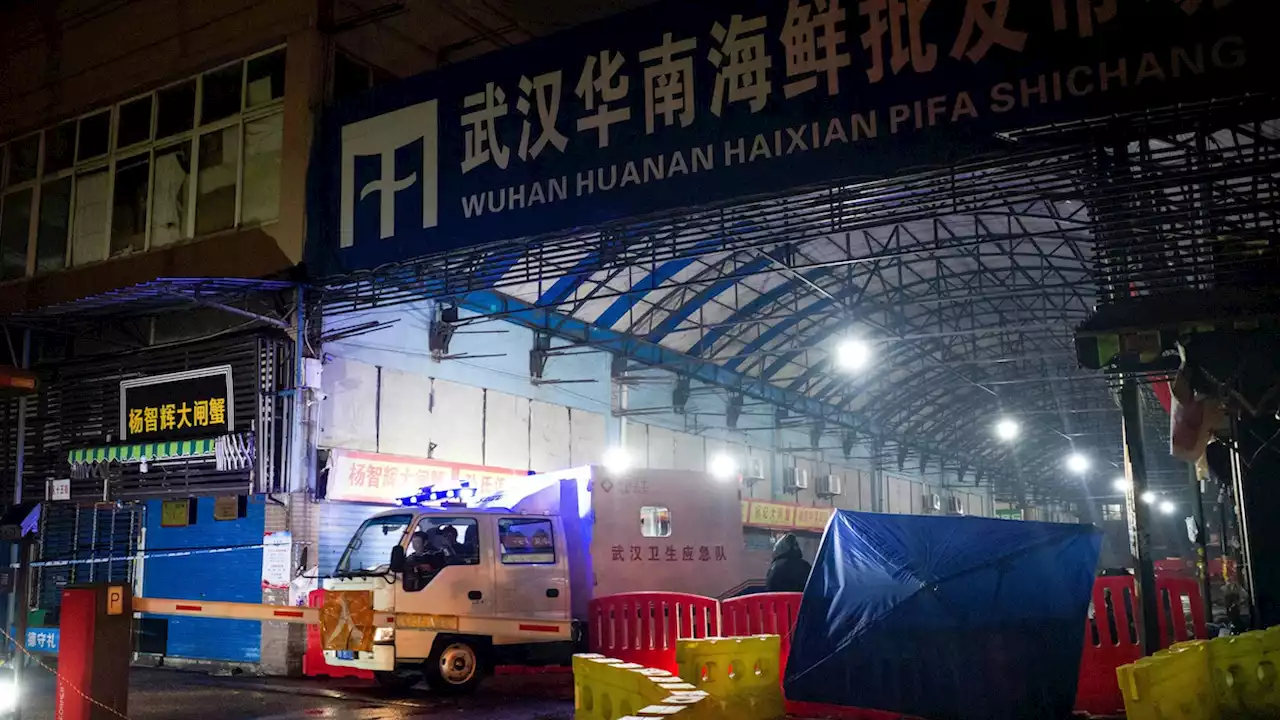 Debate deepens over Wuhan wet market's role in kickstarting the pandemic