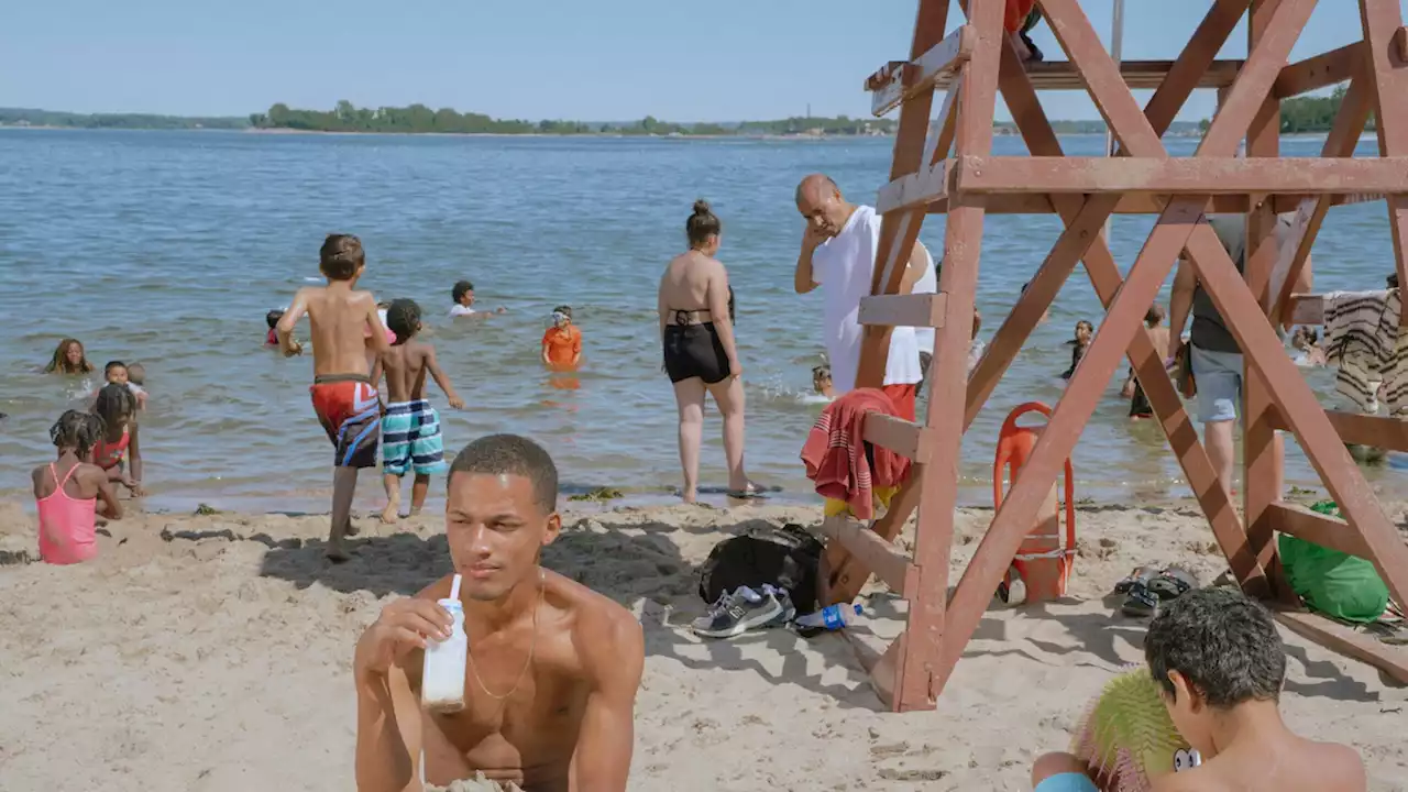 Life, both big and small, returns to NYC’s 500 miles of coastline