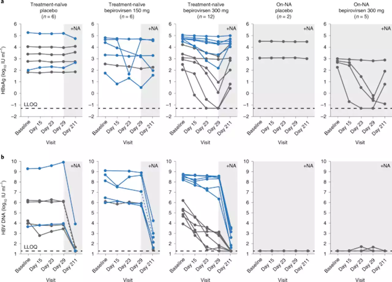 Safety, tolerability and antiviral activity of the antisense oligonucleotide bepirovirsen in patients with chronic hepatitis B: a phase 2 randomized controlled trial - Nature Medicine