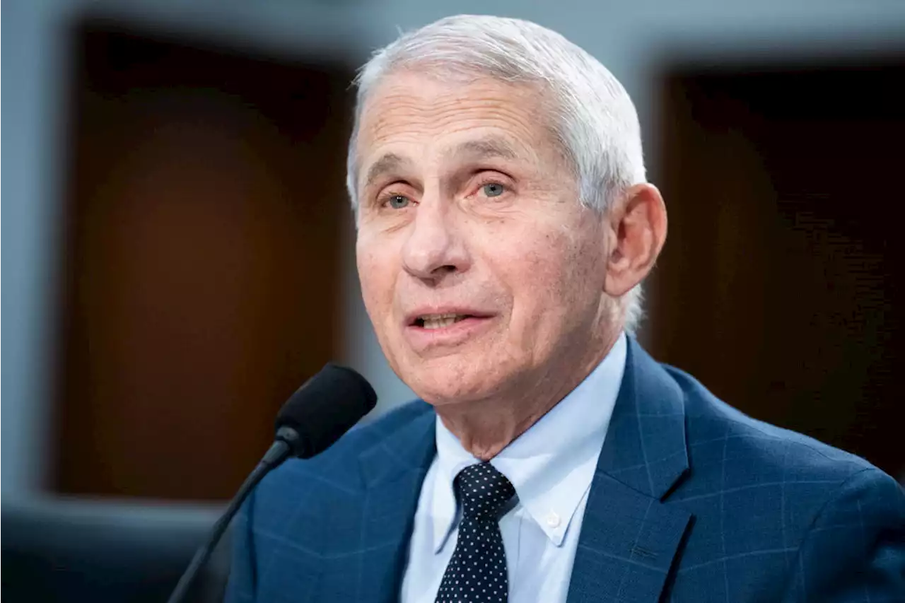 Anthony Fauci's Life, Work During COVID Are PBS Film's Focus