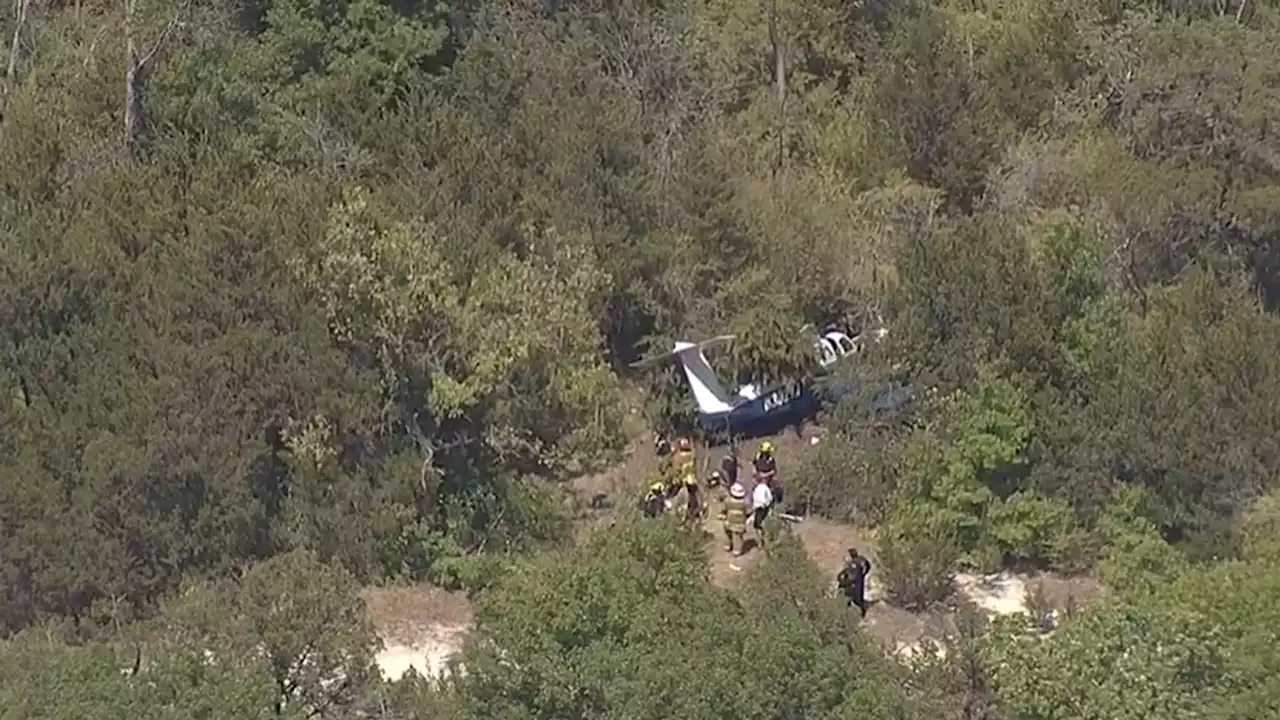 Small Plane Crashes Into Trees Near Dallas Executive Airport