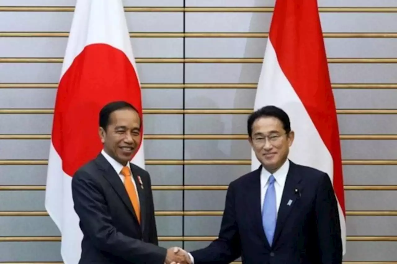 Bertemu para Investor Jepang, Jokowi: Jika Ada Masalah, Langsung Hubungi Menteri Investasi - Pikiran-Rakyat.com