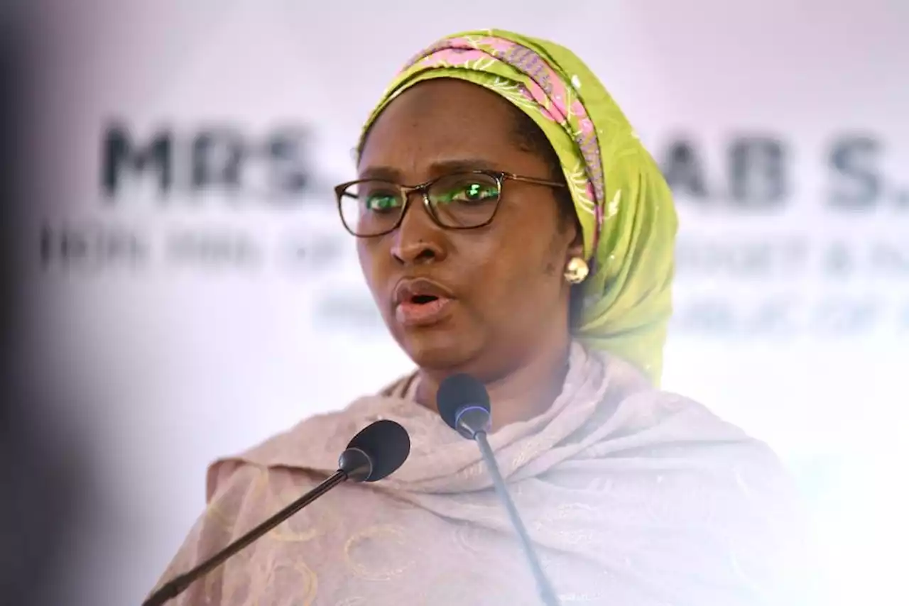 Nigerian govt withdrew $1 billion from excess crude account for security -- Minister