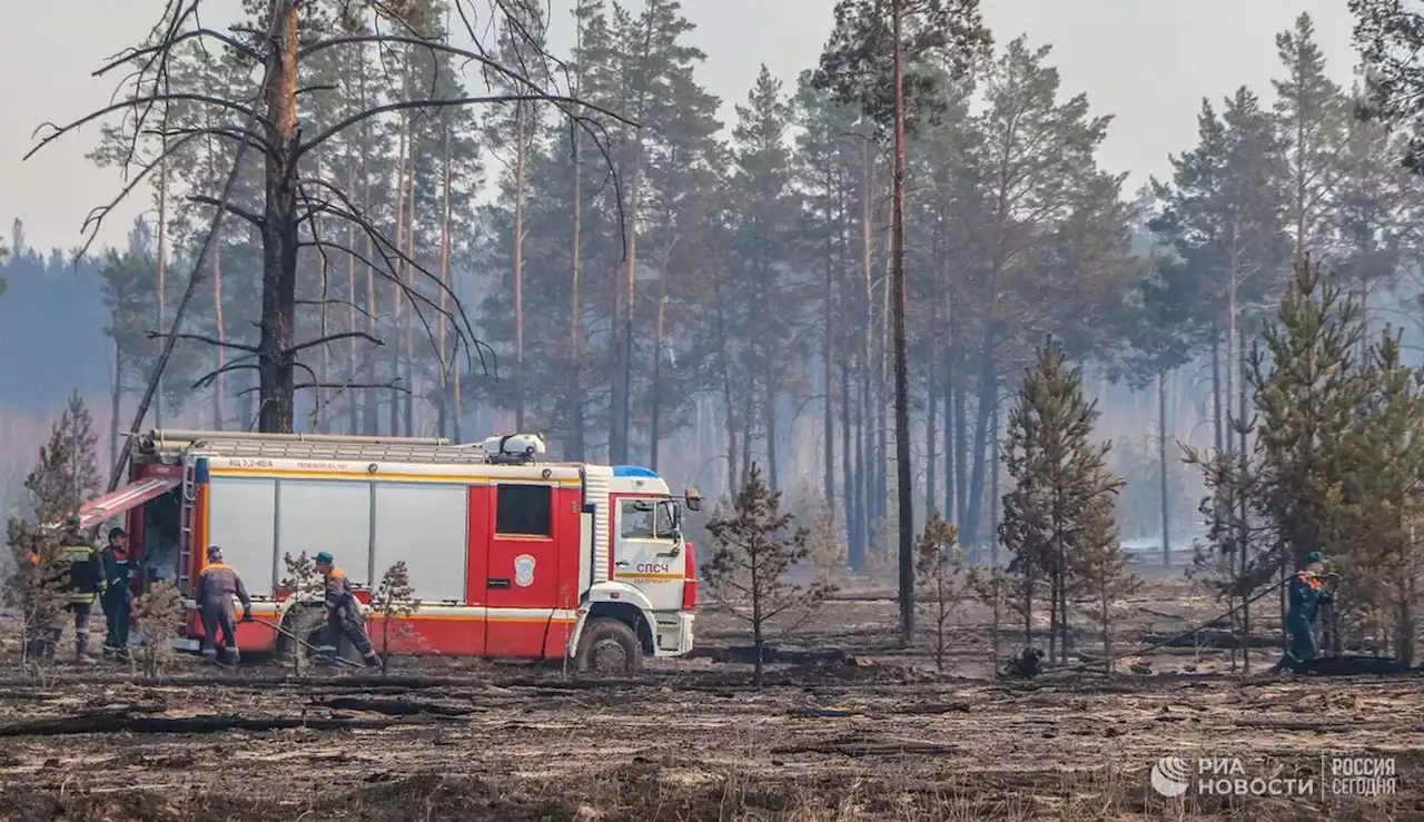 В Якутии ввели режим ЧС в районе, где лесной пожар перекинулся на село