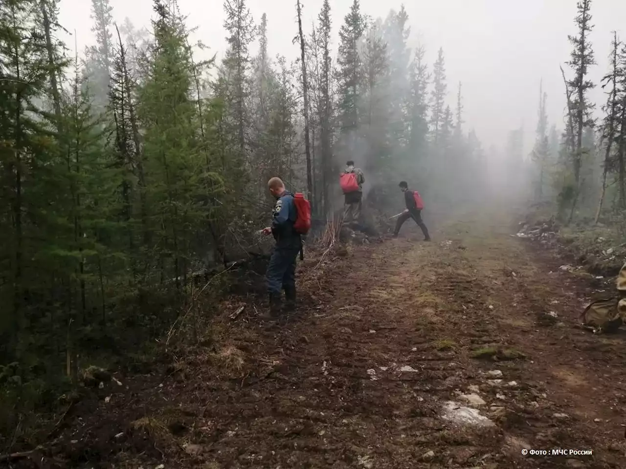 Лесной пожар перекинулся на жилые постройки в якутском селе Арылах