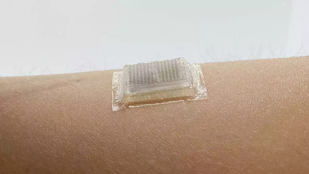 This stick-on ultrasound patch could let you watch your own heart beat