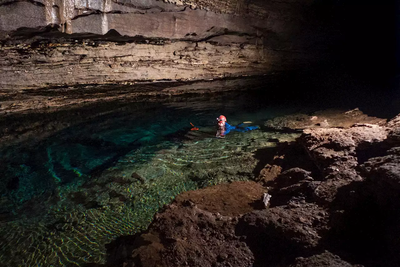 Rare Crustacean, Thought To Be Extinct, Found in a 2500-Foot-Long Cave