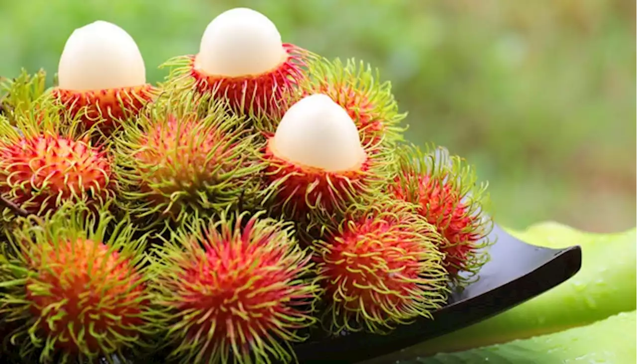 4 Manfaat Rambutan, Menurunkan Berat Badan hingga Kuatkan Imun Tubuh