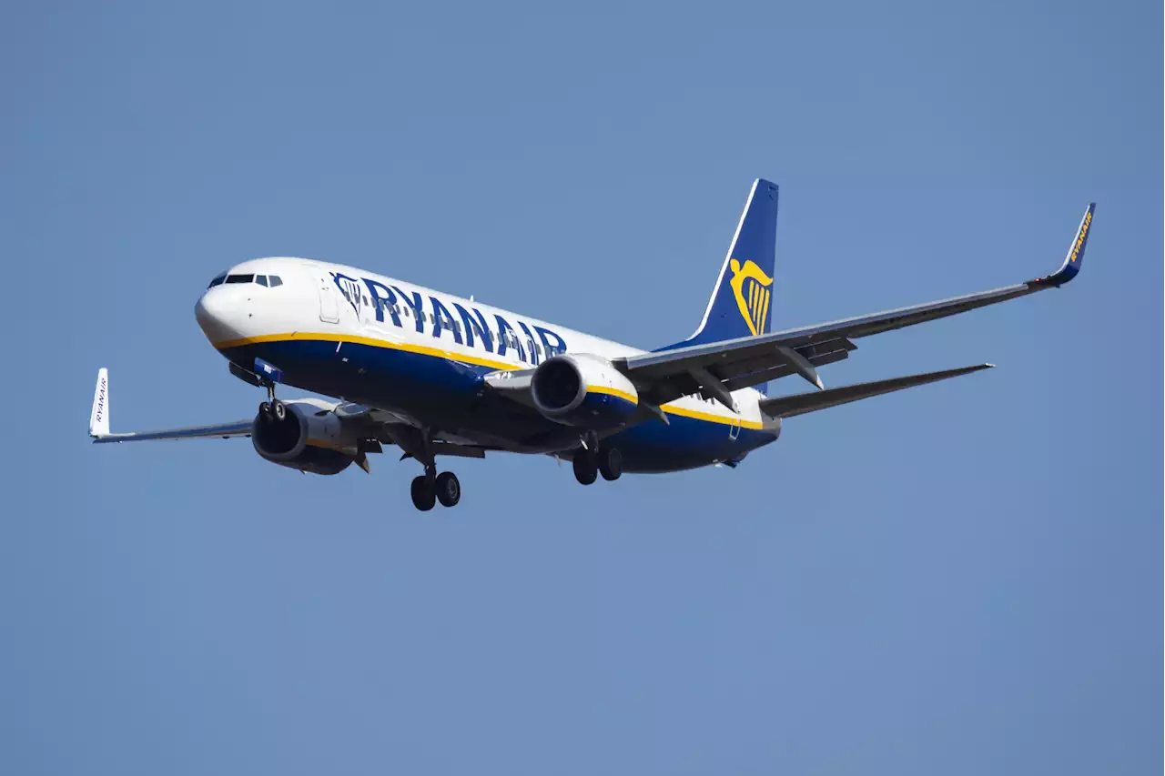 Ryanair staff to extend strikes until January | The Citizen