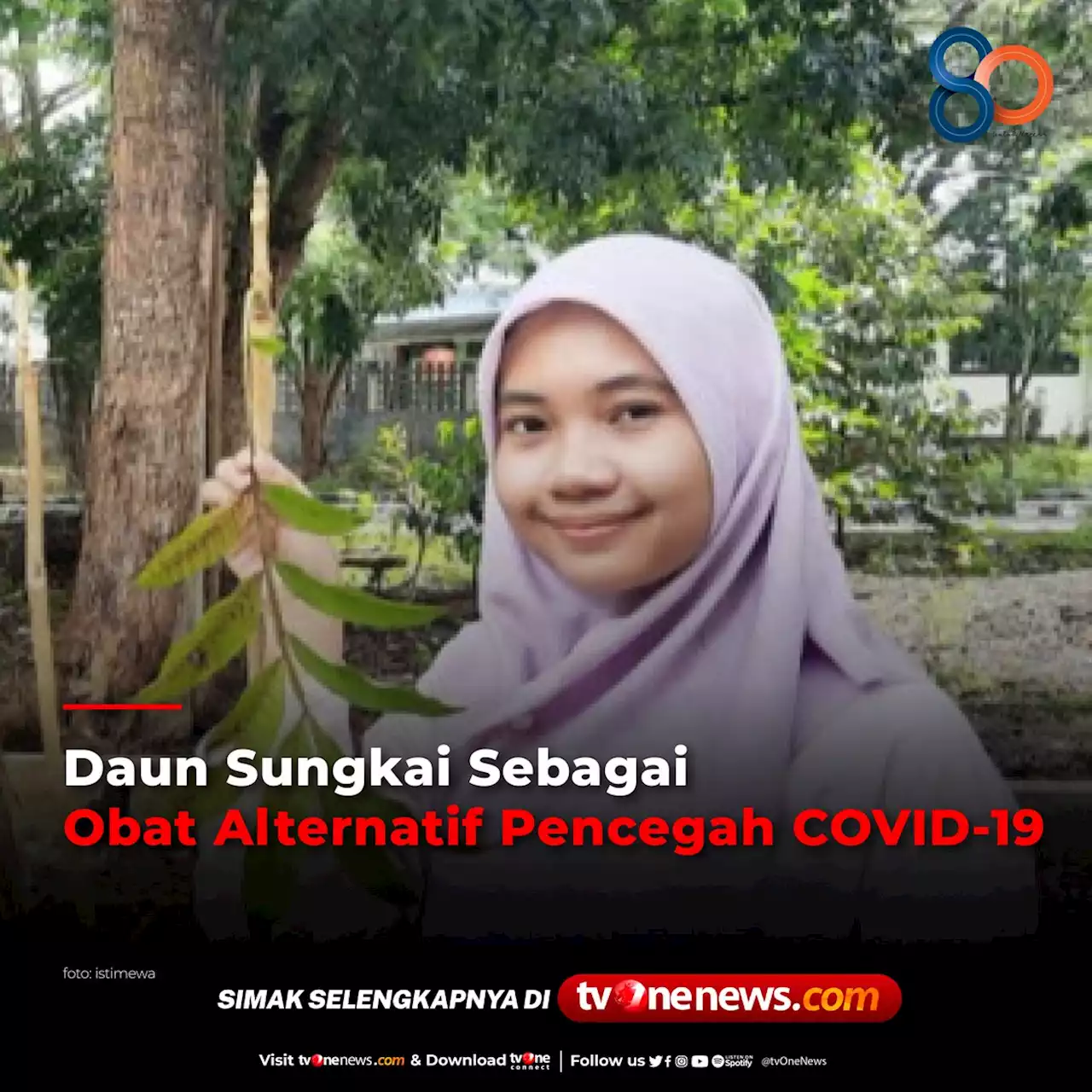 Daun Sungkai Sebagai Obat Alternatif Pencegah COVID-19