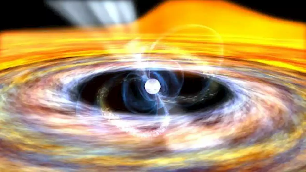 The Heaviest Neutron Star Ever Seen Got There by Feasting on its Companion