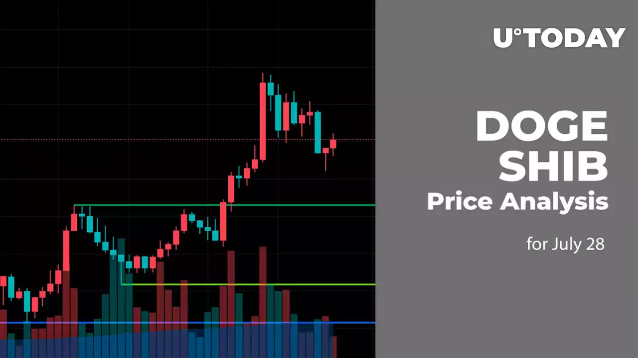 DOGE and SHIB Price Analysis for July 28