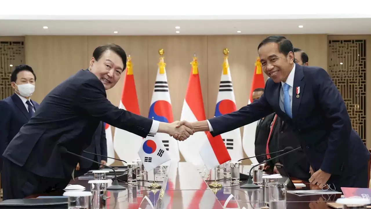 Jokowi Gandeng Korea Selatan Berinvestasi Dalam Pembangunan IKN Nusantara