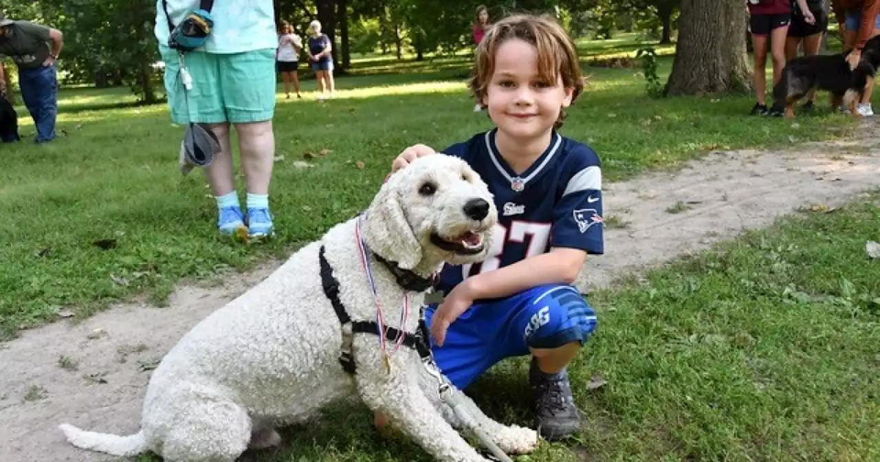 16th Annual ARPO Dog Olympics coming to Broad Ripple Park