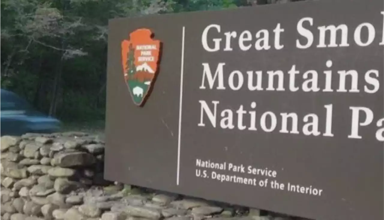 Girl dies after tree falls on her tent in Great Smoky Mountains National Park