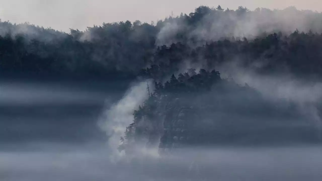 Waldbrände in Sachsen weiten sich aus