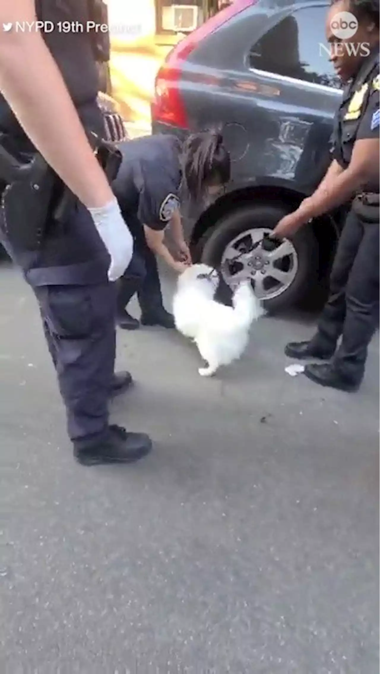 New York Police Department officer adopts dog she rescued from hot car