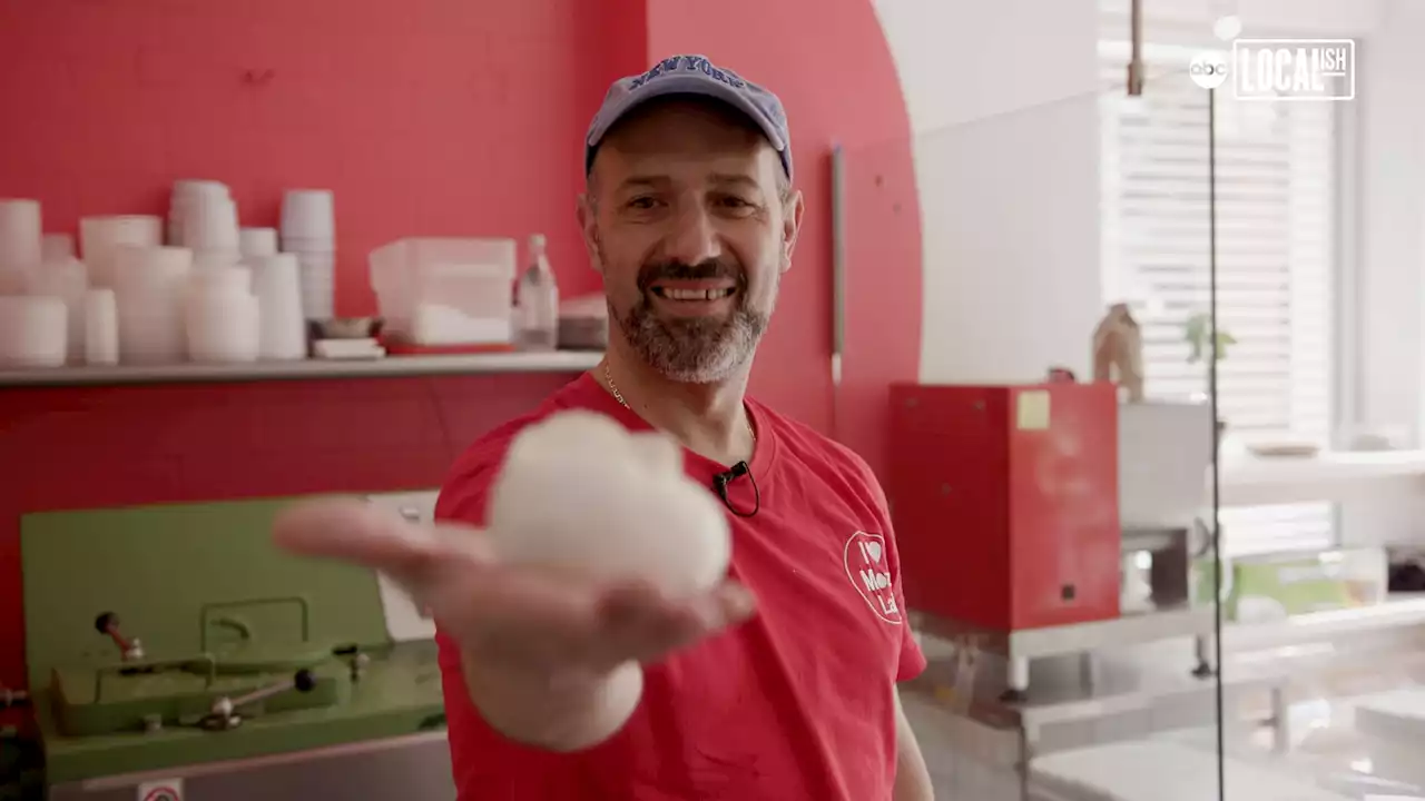 MozzLab is making mozzarella the star!