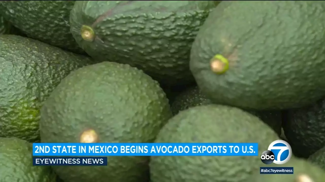 US will soon get more avocados from Mexico, and it may help lower prices