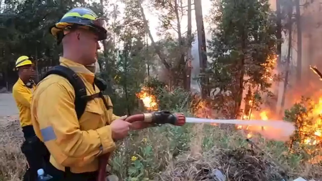 Oak Fire: Crews reach 45% containment, acreage grows to 19,208