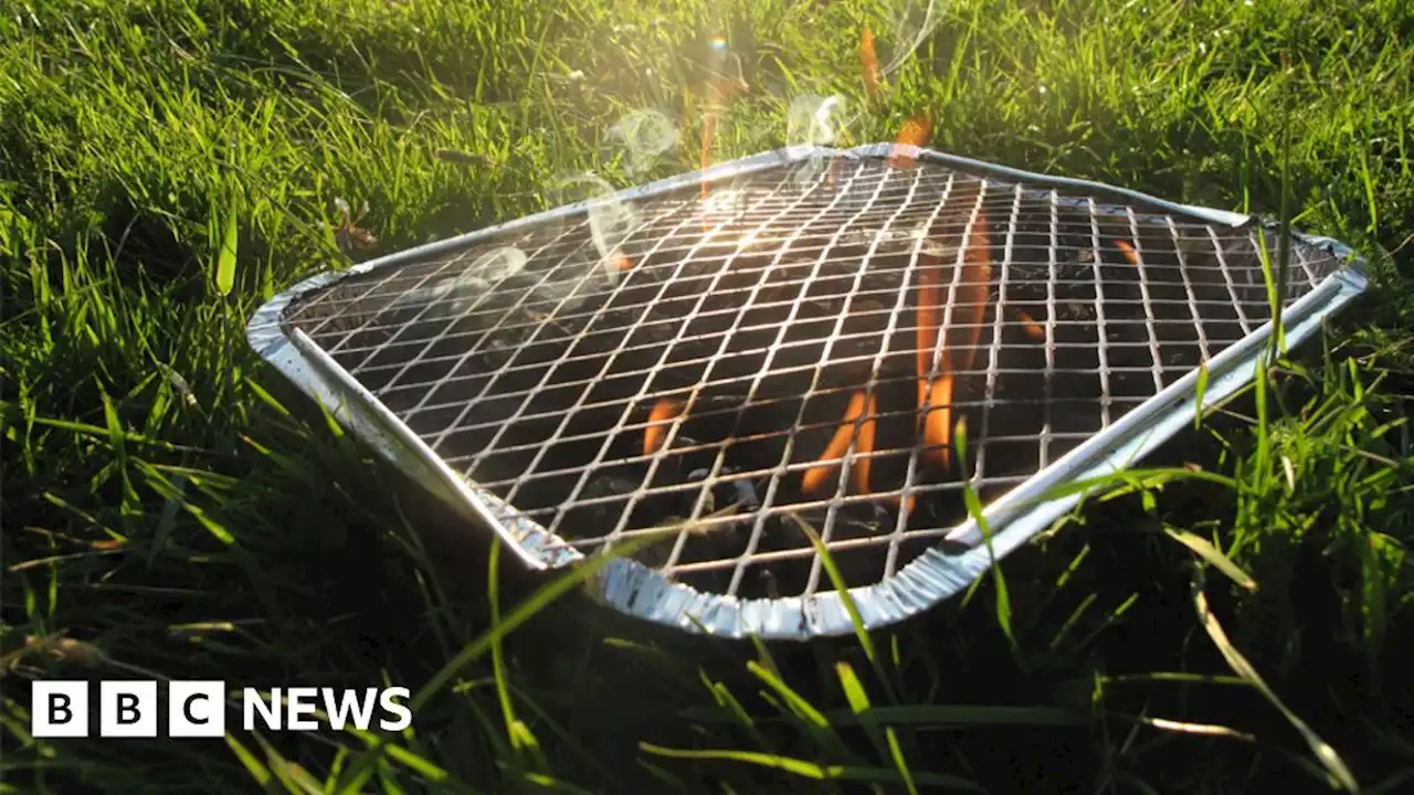 Ban disposable BBQs, London Fire Brigade urges