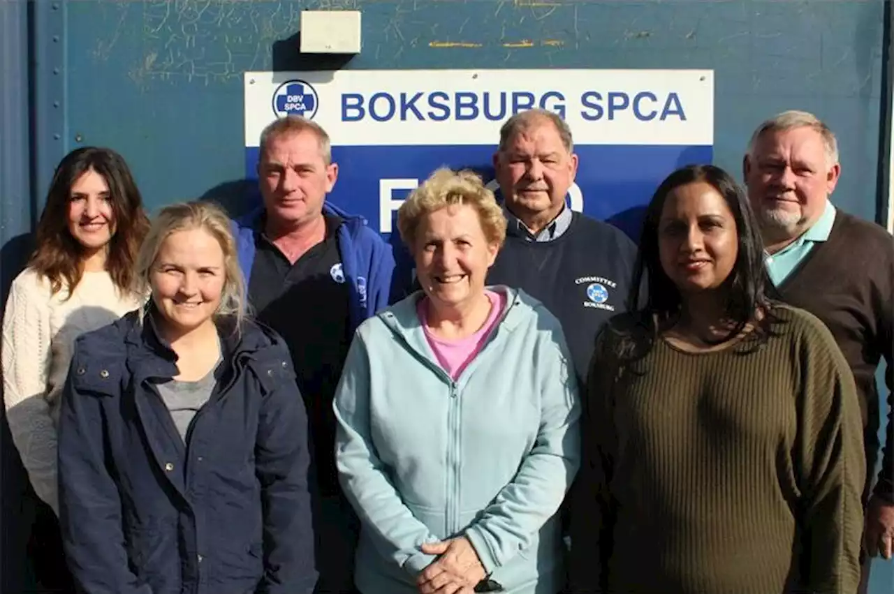 AGM reveals tough times and successes at Boksburg SPCA | Boksburg Advertiser