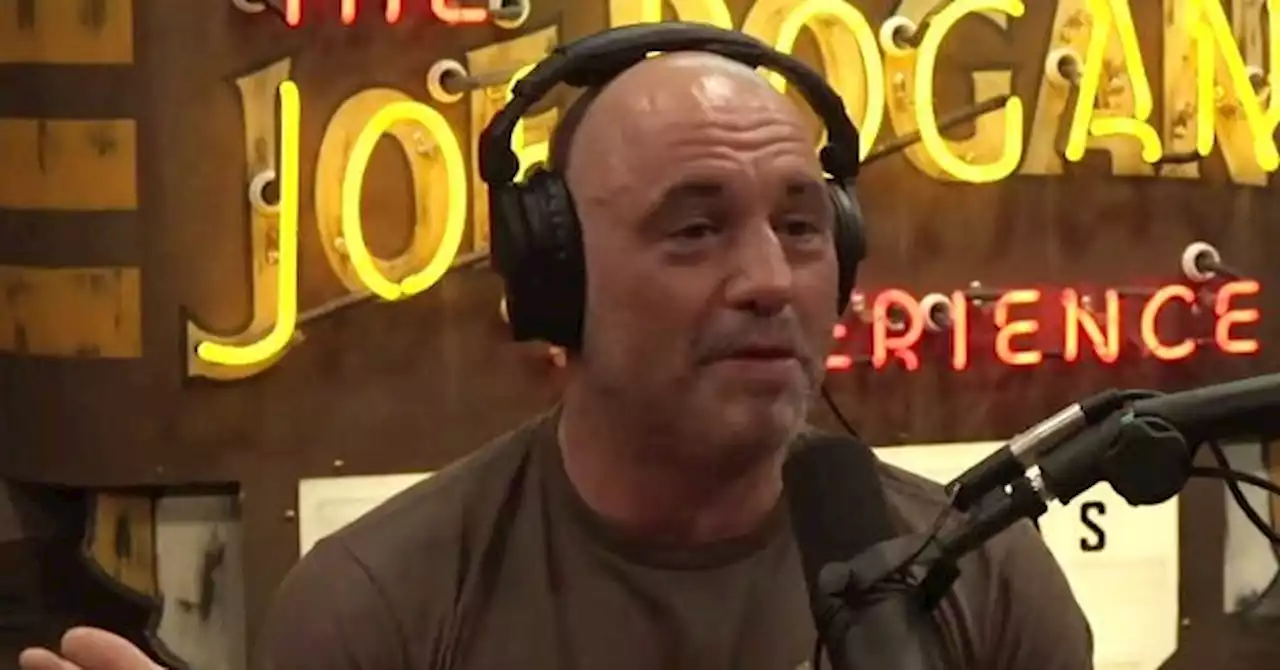 'It Ends with China Having All of Your Data:' Joe Rogan Blasts Chinese-Owned TikTok