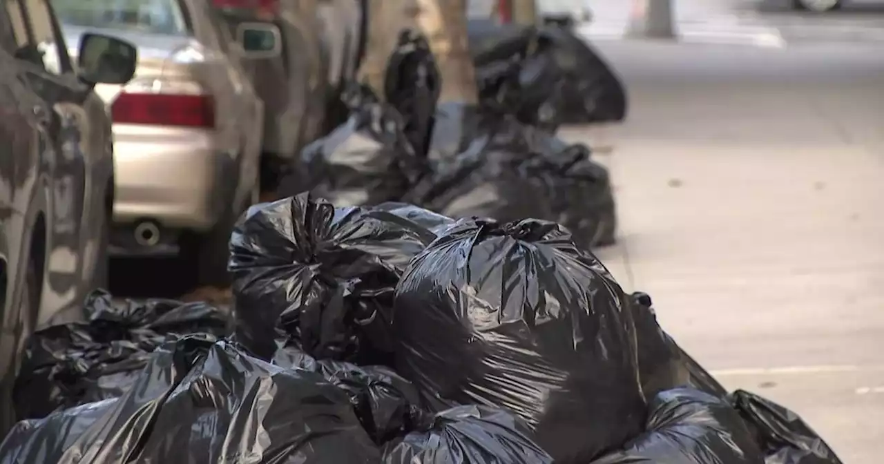 NYC sanitation department looking into plan to curb garbage, rat problems