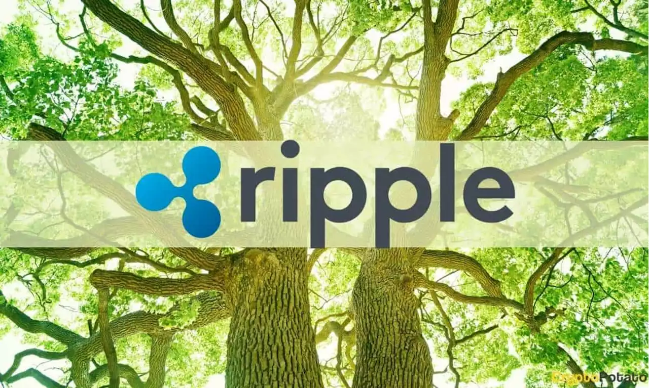 Ripple's Q2 Report Shows 50% Increase in Sold XRP