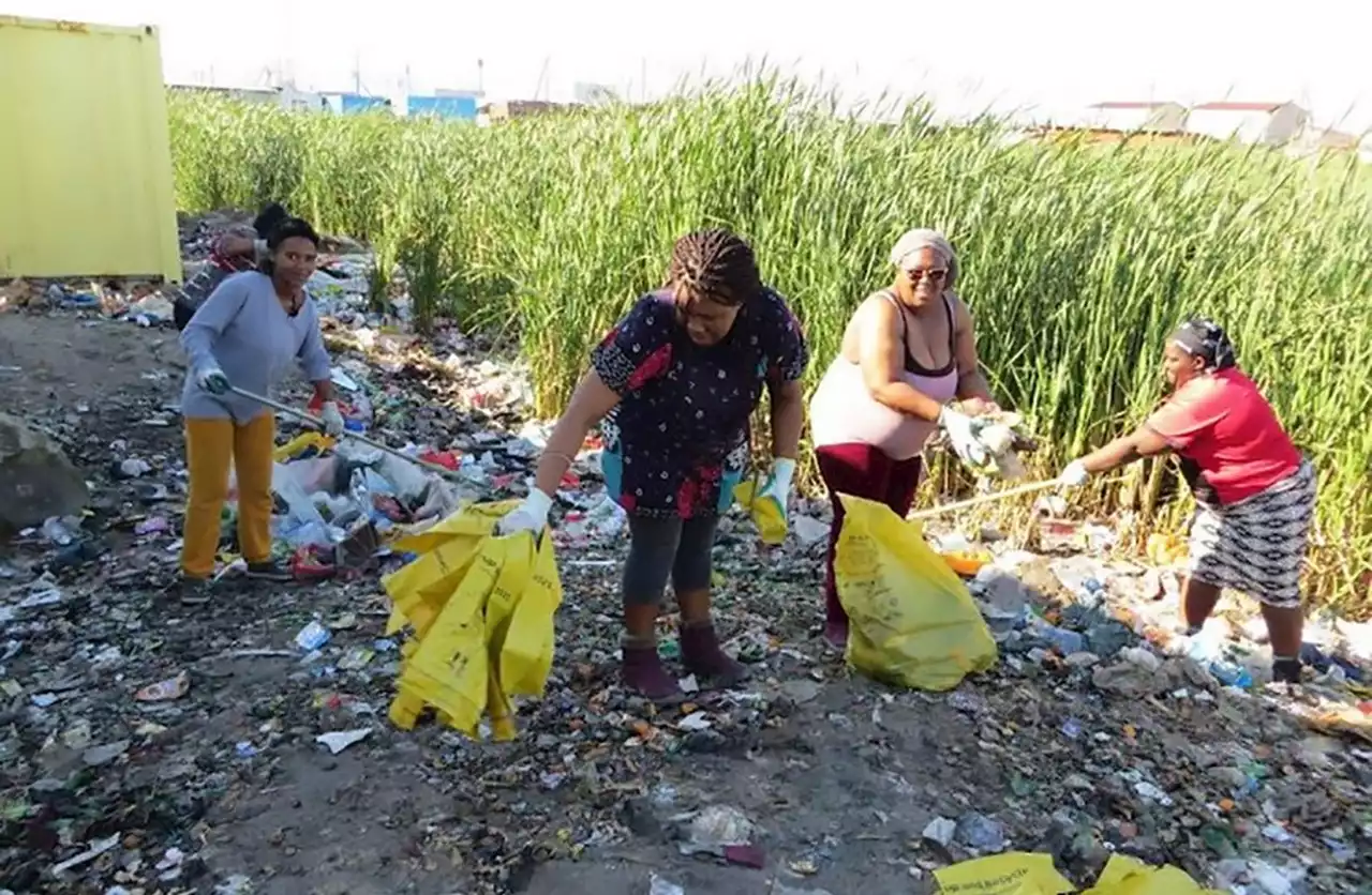 GROUNDUP: Women volunteers clean up dumps in Delft after dead body found