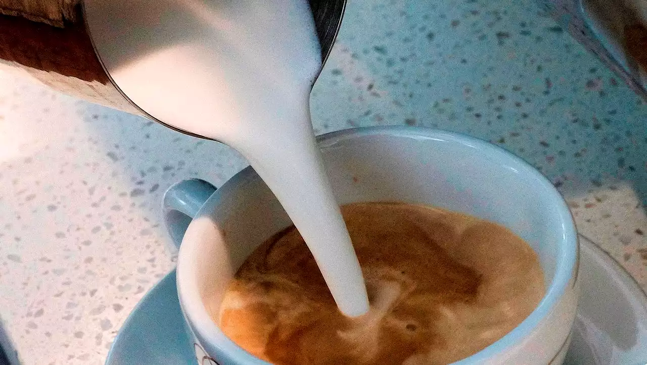 Konsum auf Rekordhoch: Kaffee bleibt Genussmittel Nummer eins