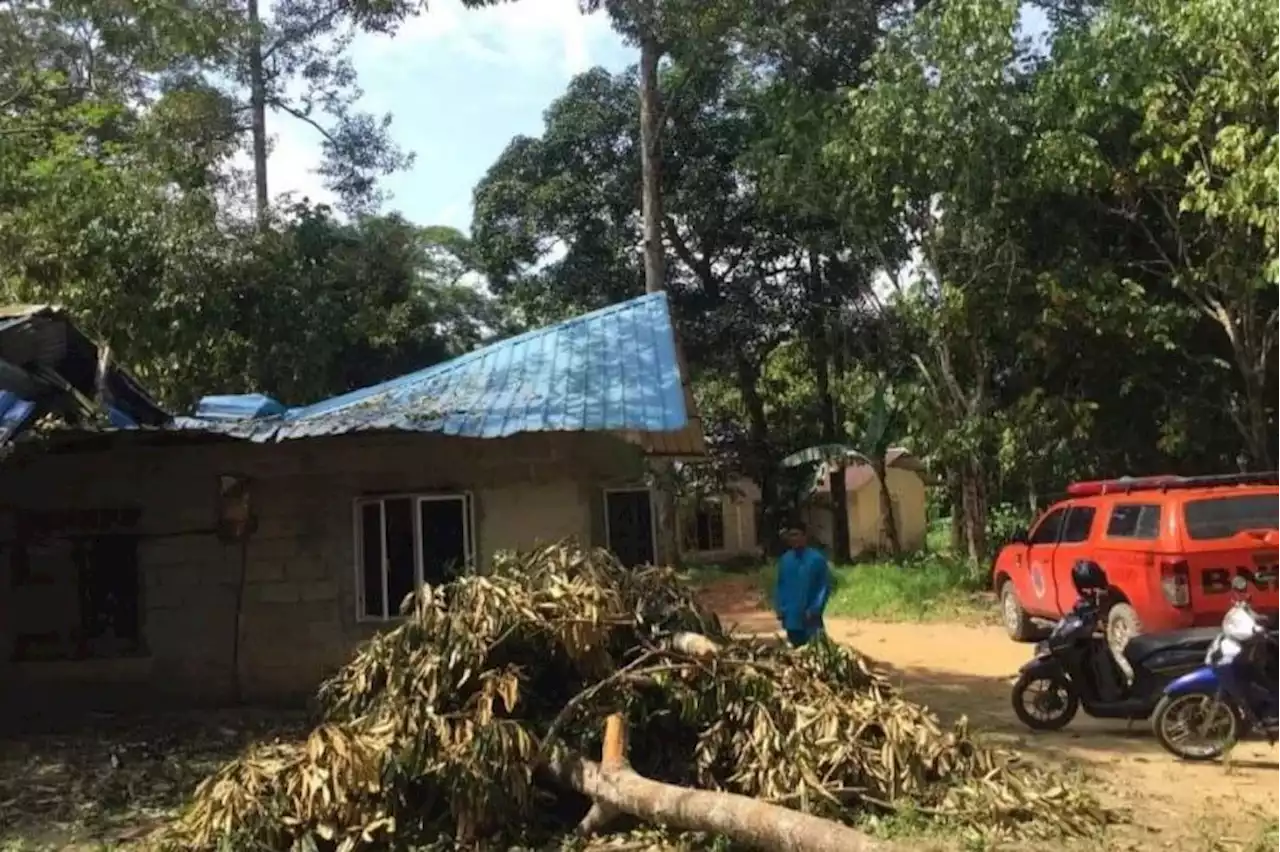 Warga Bintan Diminta Waspada Potensi Angin Kencang