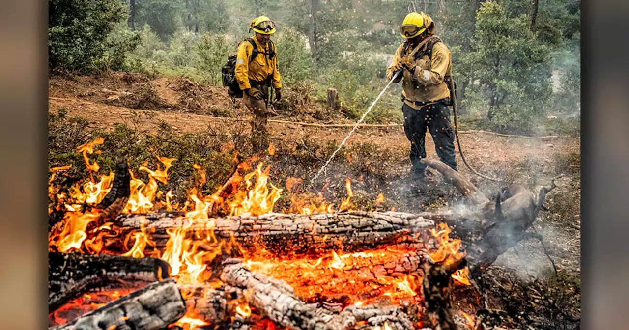 Oak Fire, 42 percent contained, claims 135 structures, burns 19,000 acres