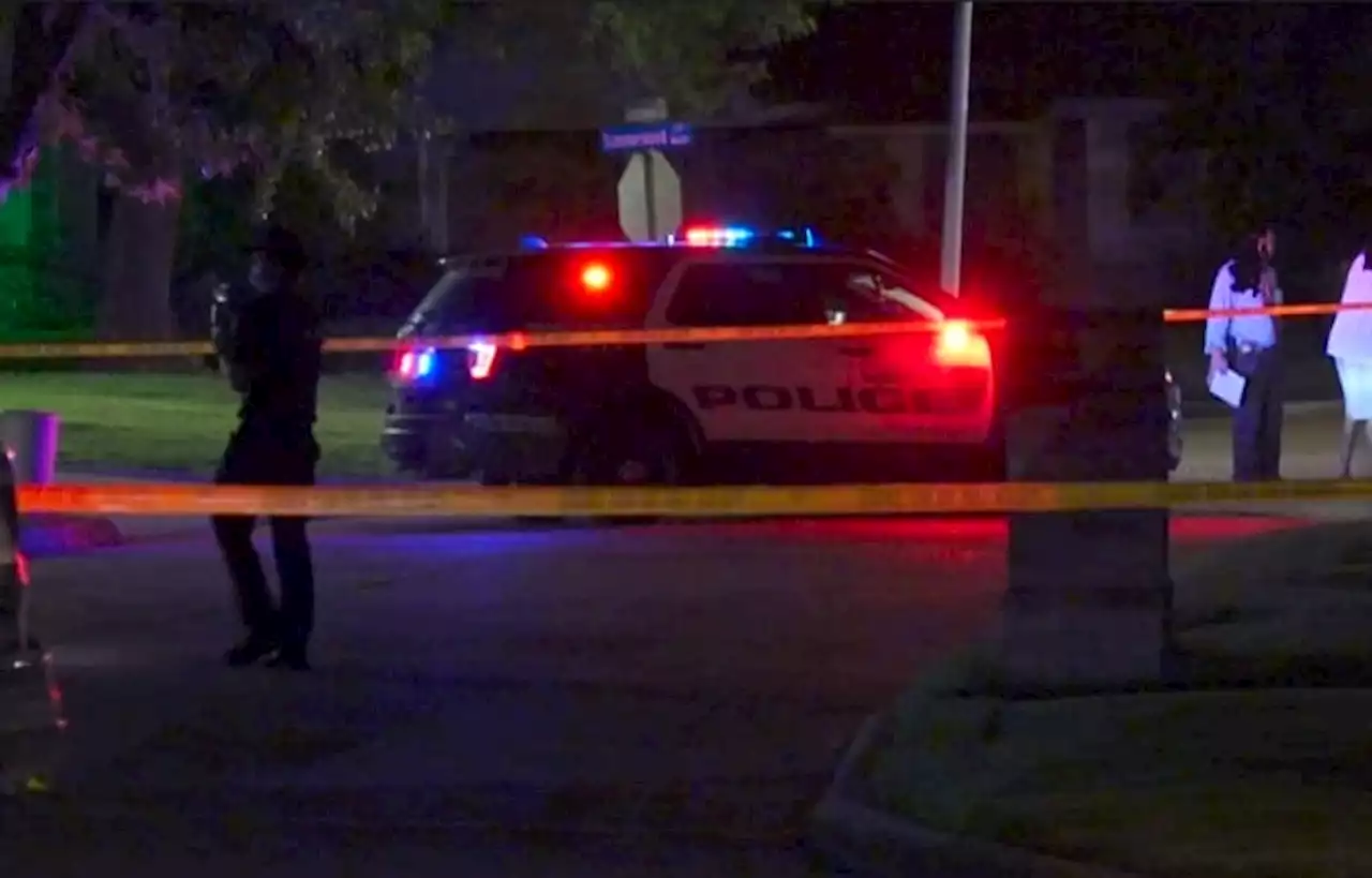 Man shoots woman to death outside vehicle at east Houston neighborhood, police say