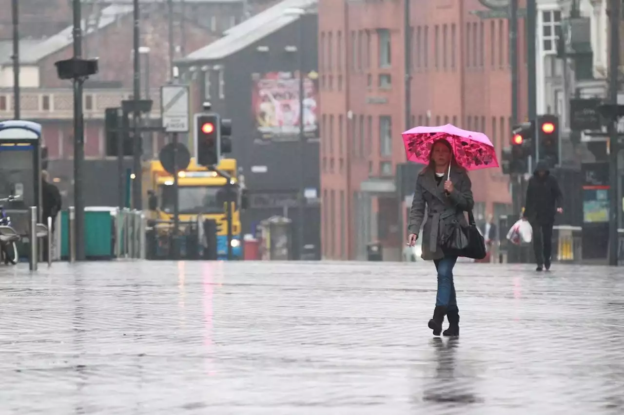 The full weather forecast for Leeds this weekend and when it's set to rain