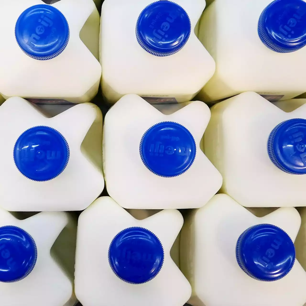 Lactose Tolerance in Europeans 'Driven by Famine and Pathogens'