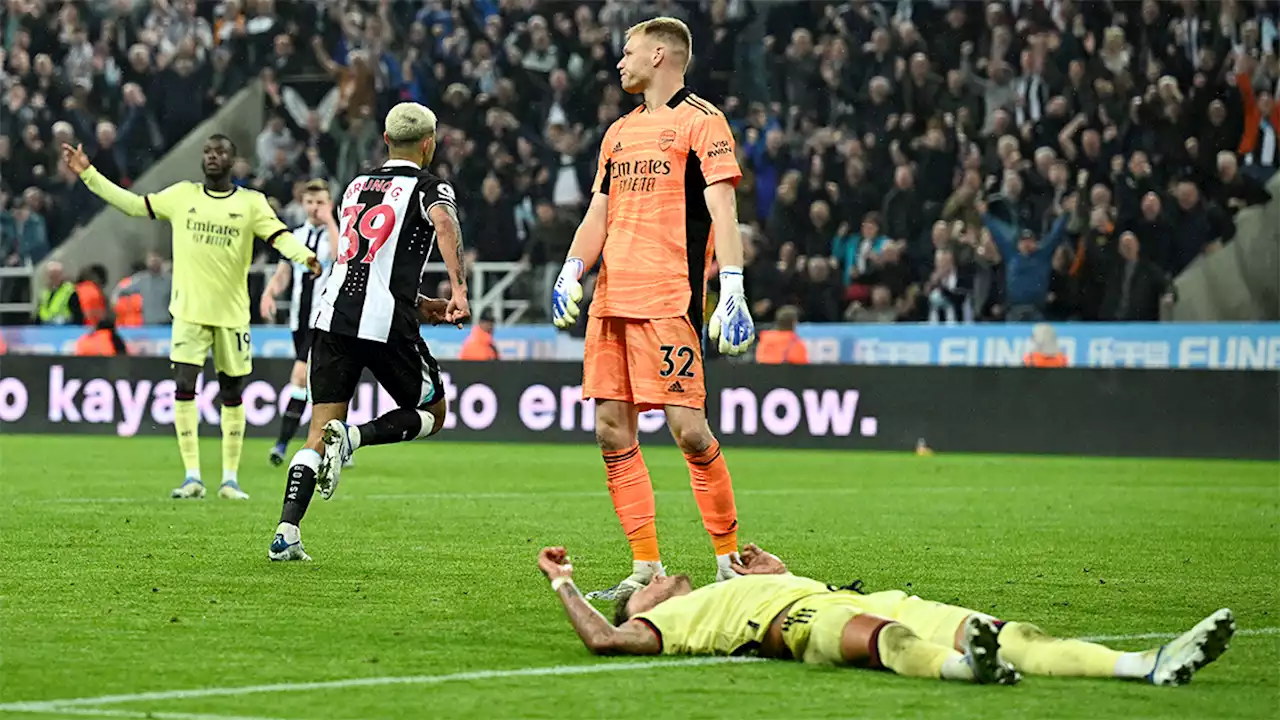 Newcastle United fans forget what happened 73 days ago - Short-term memory loss