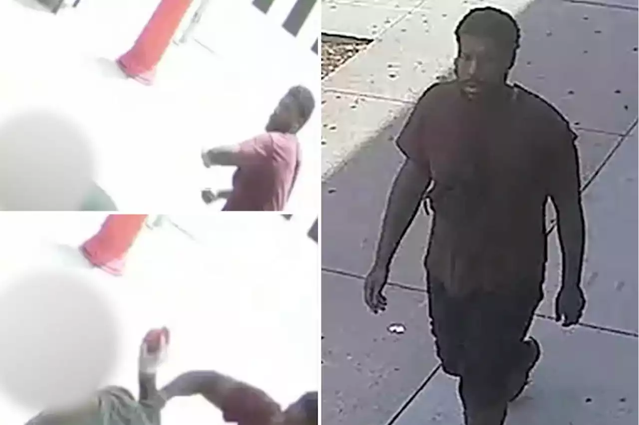 Horrifying moment man stabs Fort Greene fruit store worker in apparently random attack